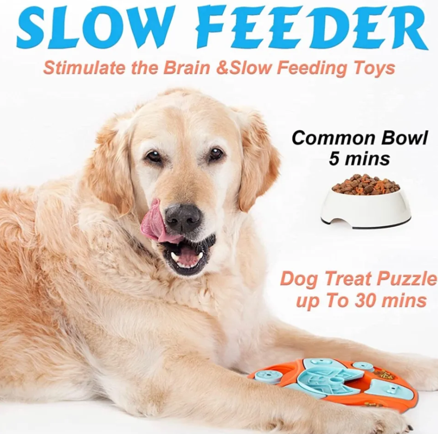 Brain-Engaging Dog Puzzles for Enhanced Cognitive Play