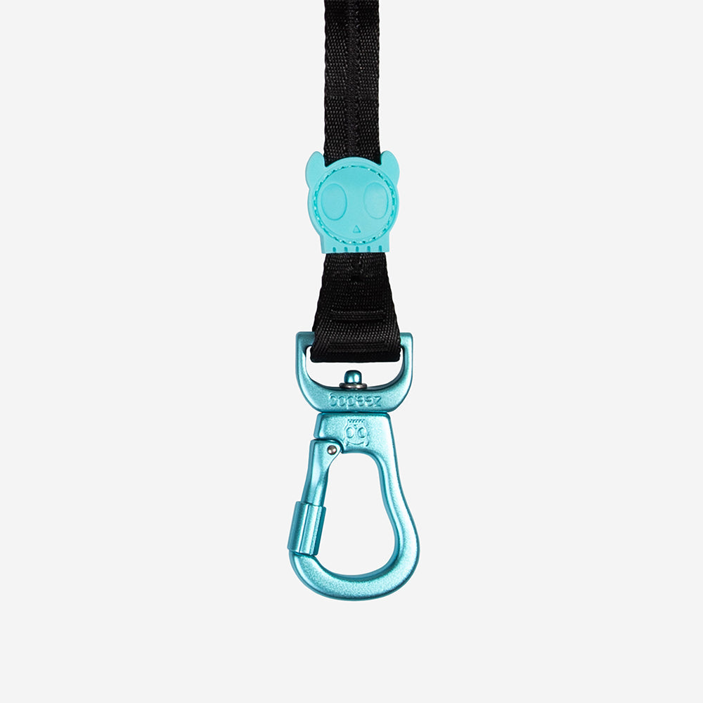 Segundo | Long Leash 2.0