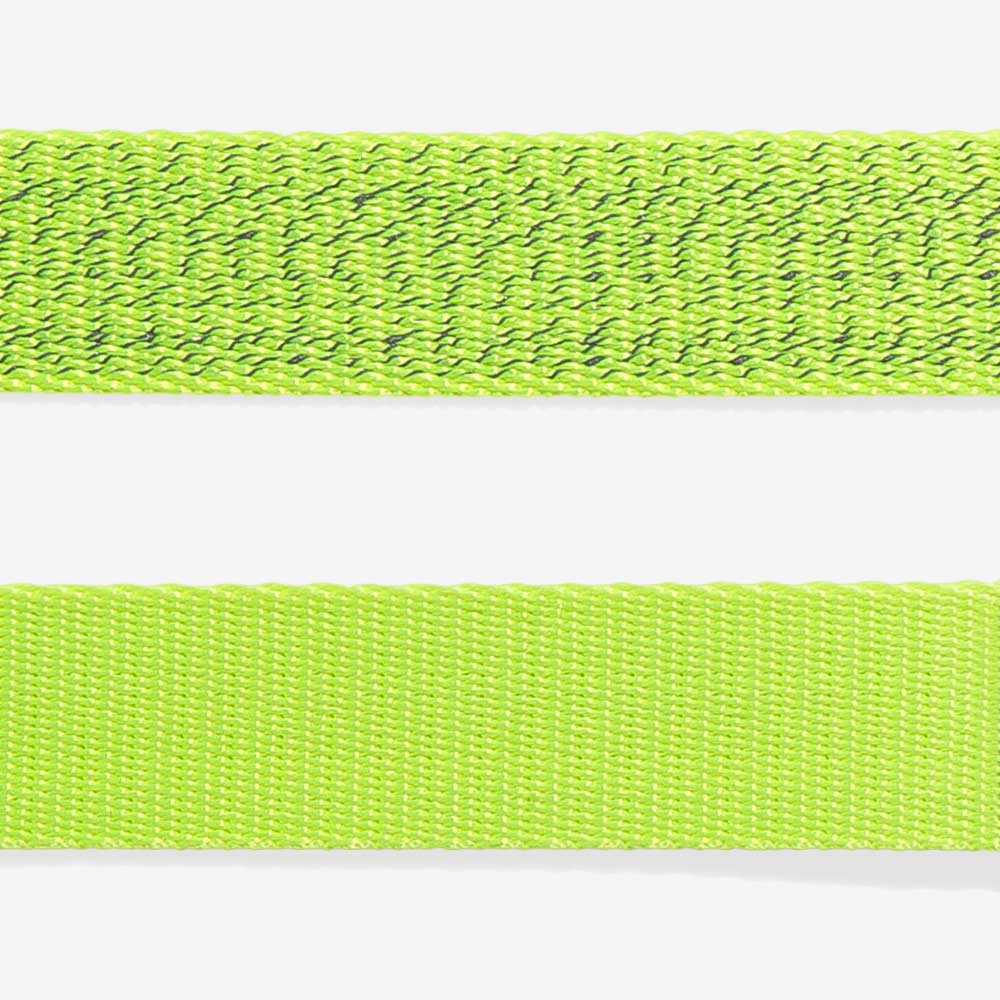 NOX Lumen | Cat Harness with Leash