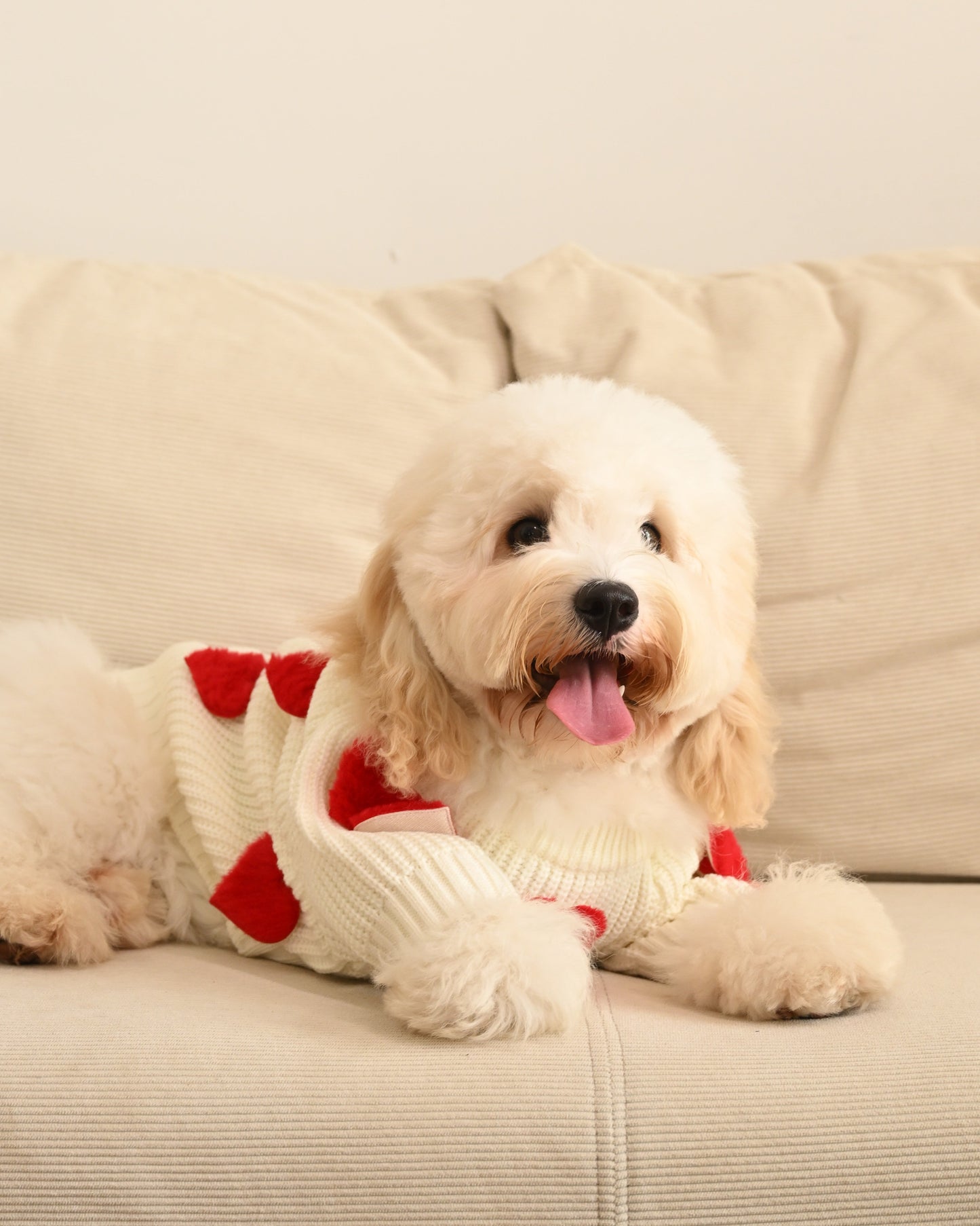 Cream Heart-3D Motif Pet Sweater