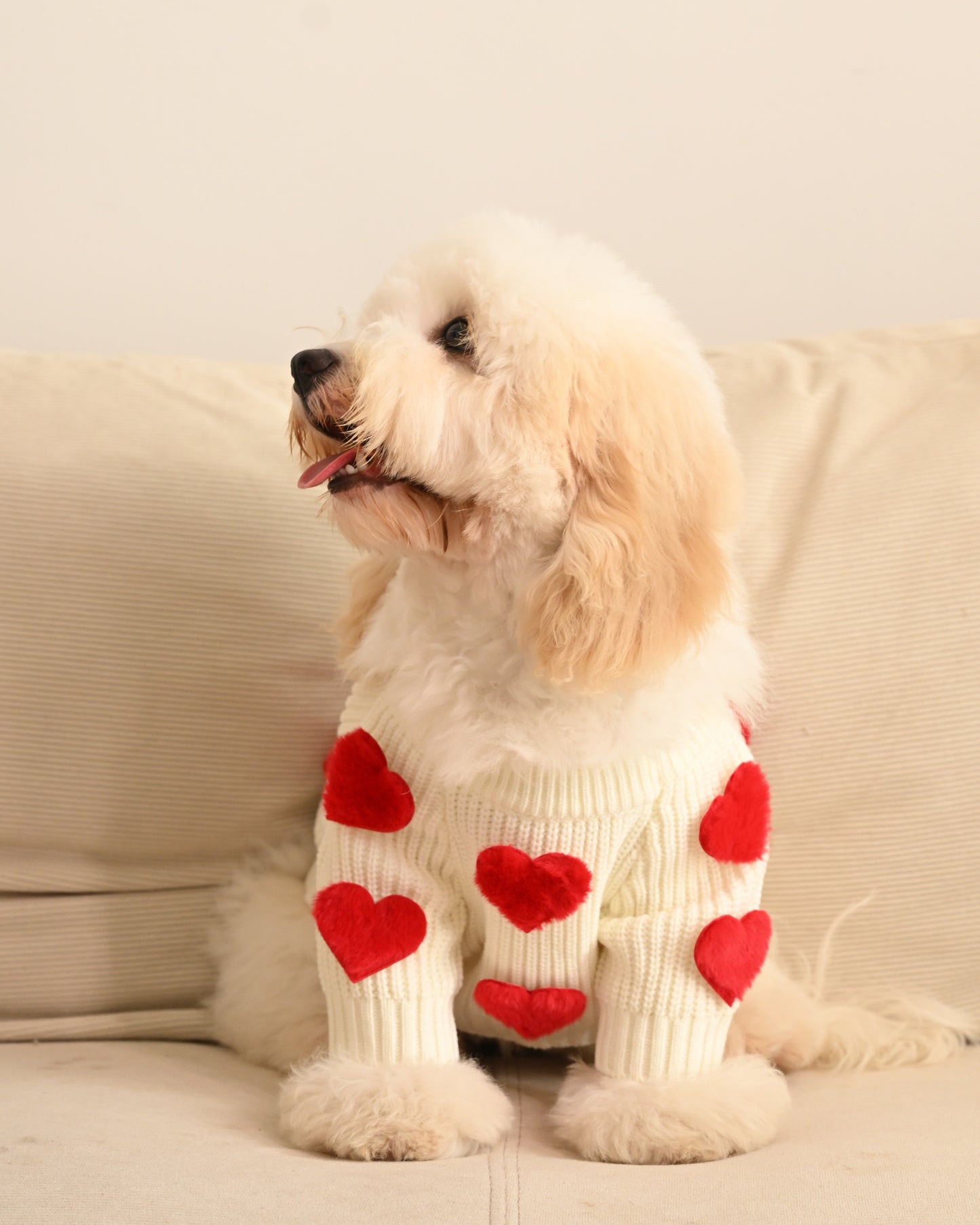 Cream Heart-3D Motif Pet Sweater
