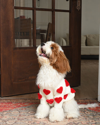 Cream Heart-3D Motif Pet Sweater