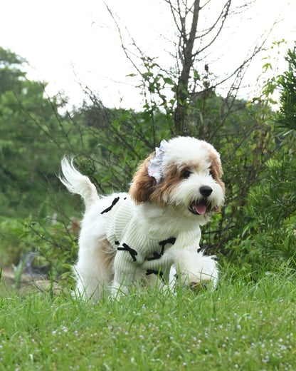 Black Bow-3D Motif Pet Sweater