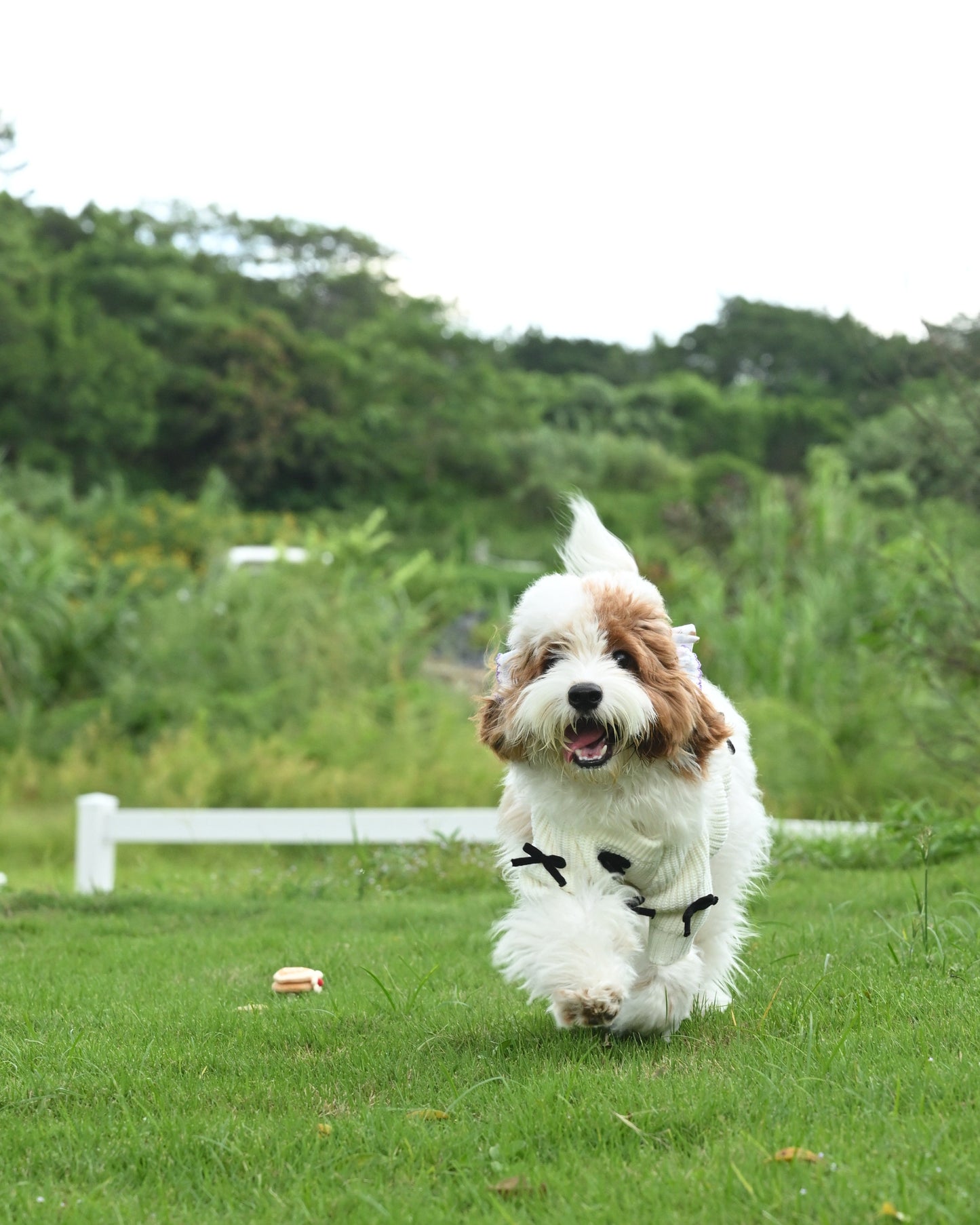 Black Bow-3D Motif Pet Sweater