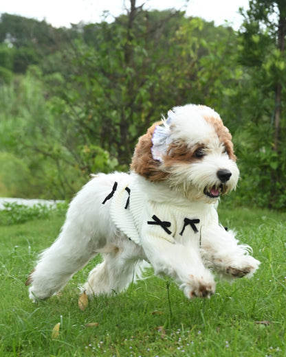 Black Bow-3D Motif Pet Sweater