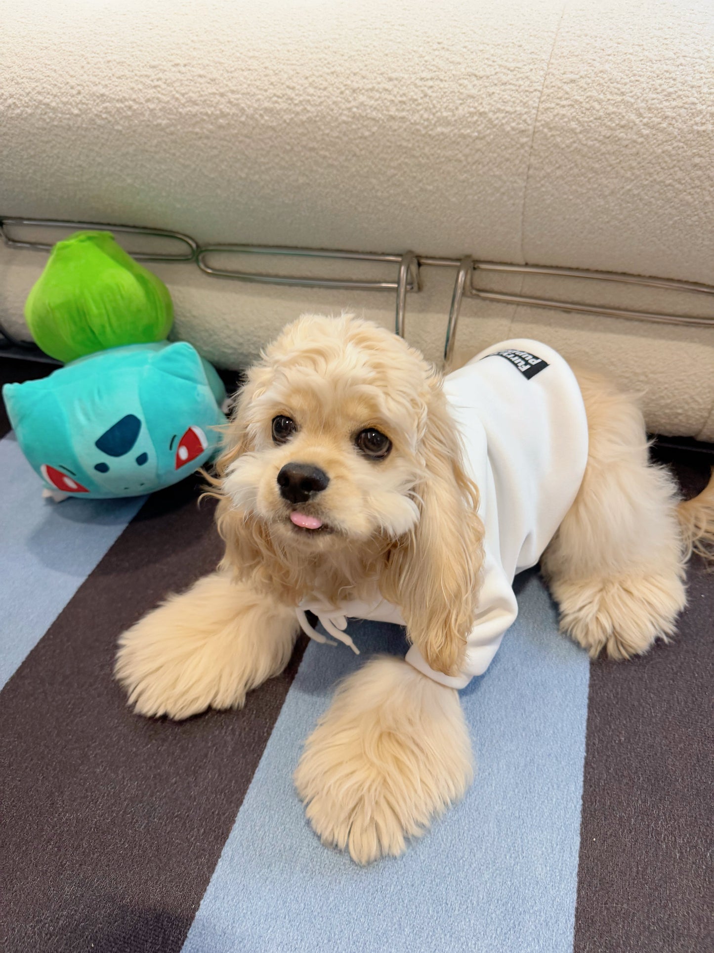 Beige Bliss Frenchie Hoodie