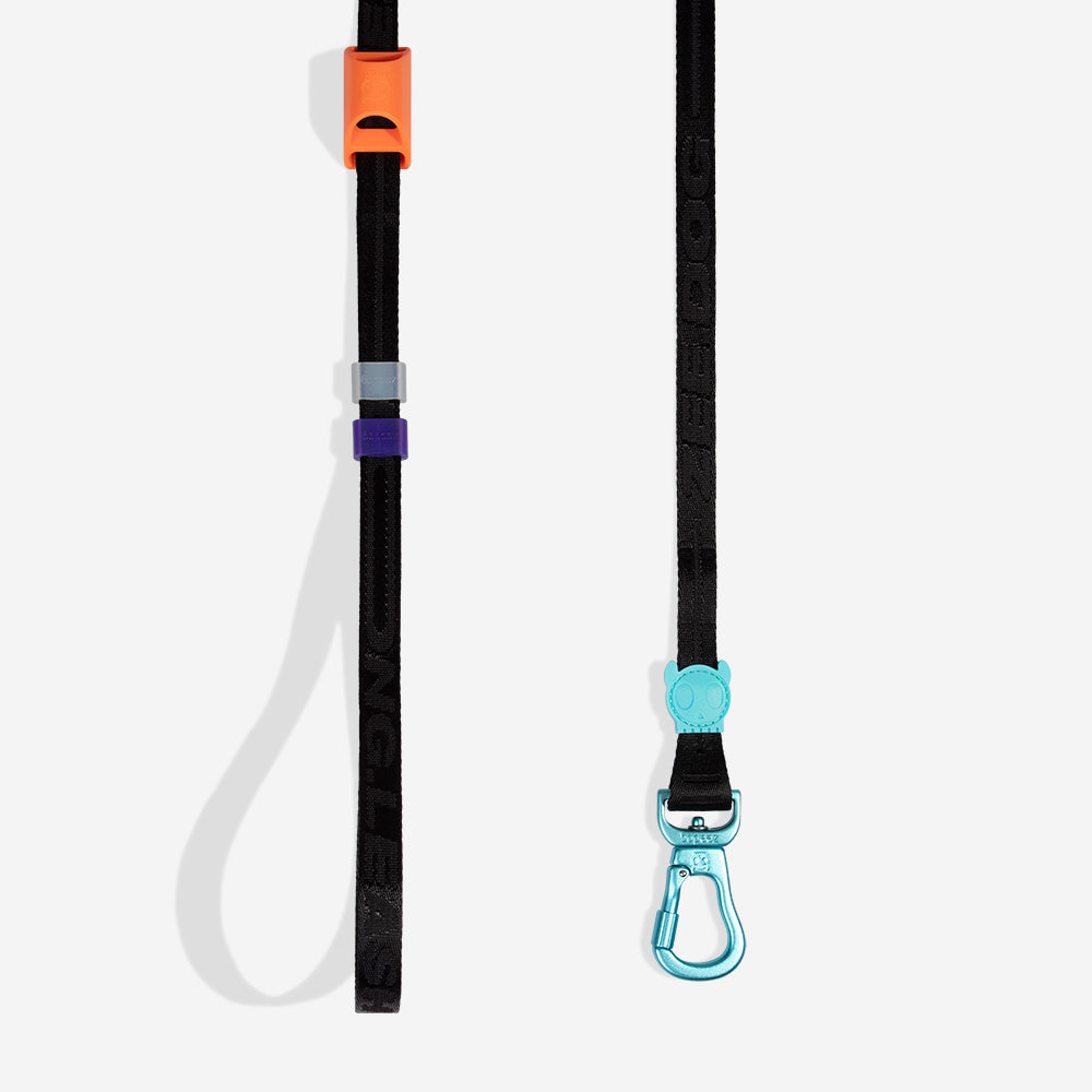 Segundo | Long Leash 2.0