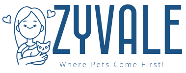 Zyvale