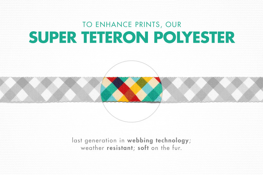 Phantom | Cat Collar