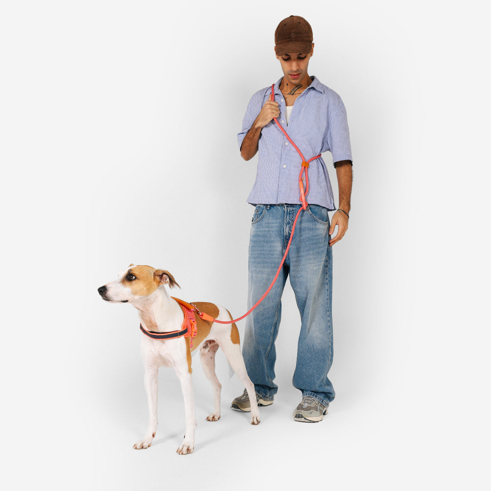 Gazelle | Hands-Free Leash